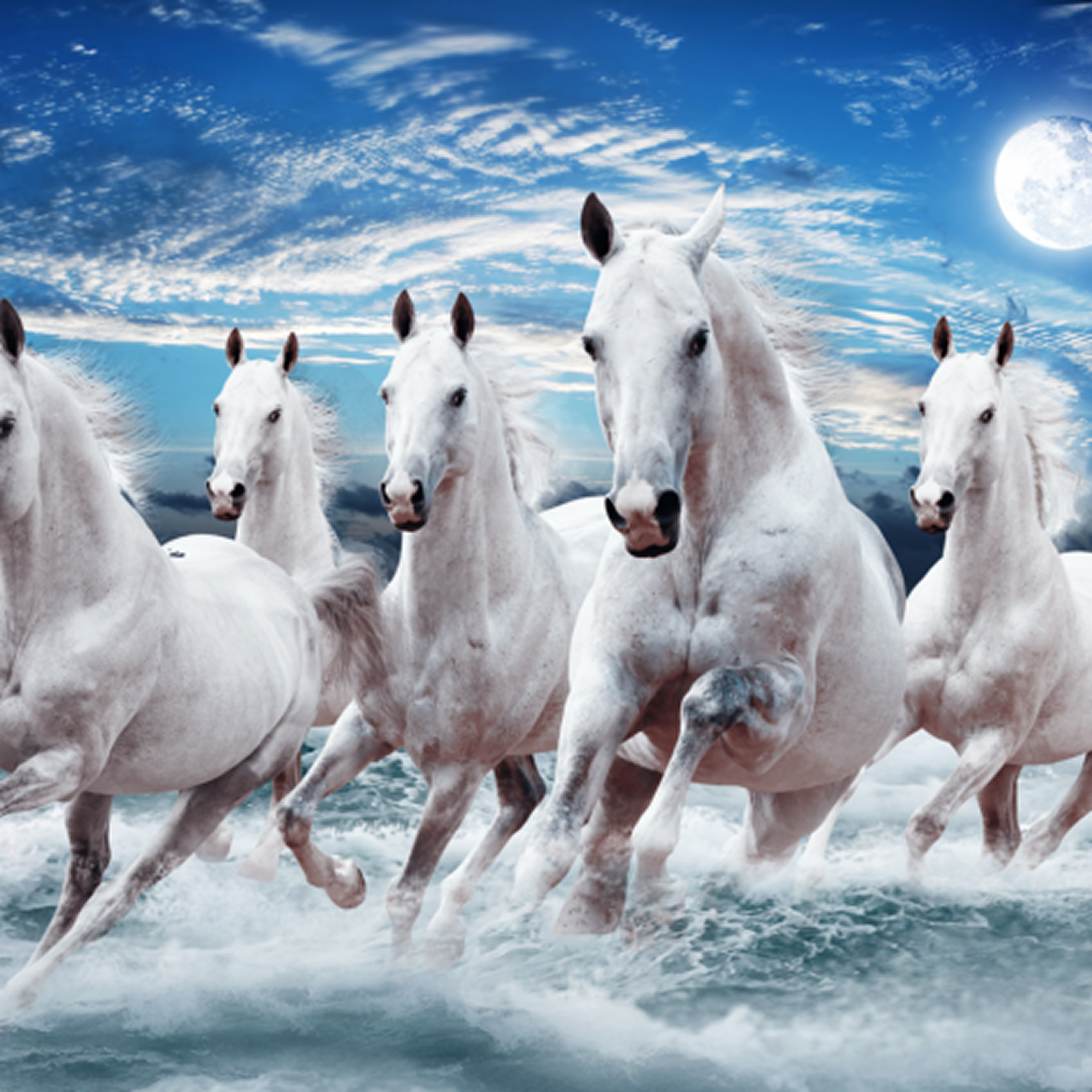 animals-slv-1-8-470x470 Modern Grey Stone Mosaic Wall Tile